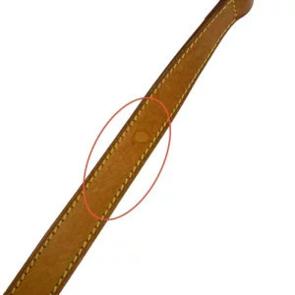 LOUIS VUITTON Odeon Monogram